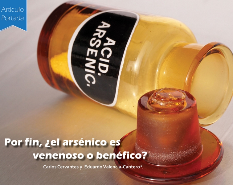 МАРГ БО “МАРГИ МУШ”